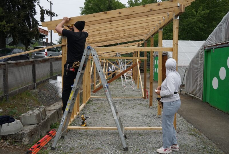 student and mentor working on top of a ladder